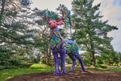 Painted Deer