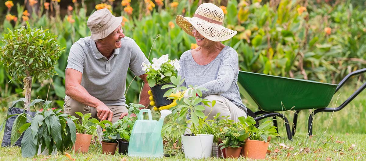 grandparents gardening