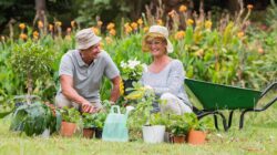 gardening in your senior years